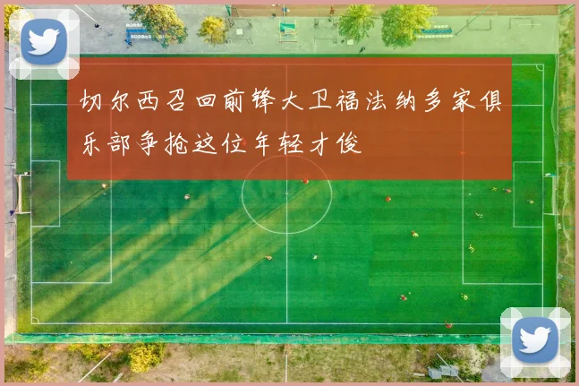 切尔西召回前锋大卫福法纳多家俱乐部争抢这位年轻才俊